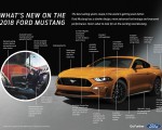 2018 Ford Mustang V8 GT Fact Sheet Wallpapers 150x120