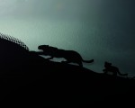2018 Jaguar E-PACE Detail Wallpapers 150x120 (73)