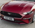 2018 Ford Mustang Cabrio (Euro-Spec) Grille Wallpapers 150x120 (16)