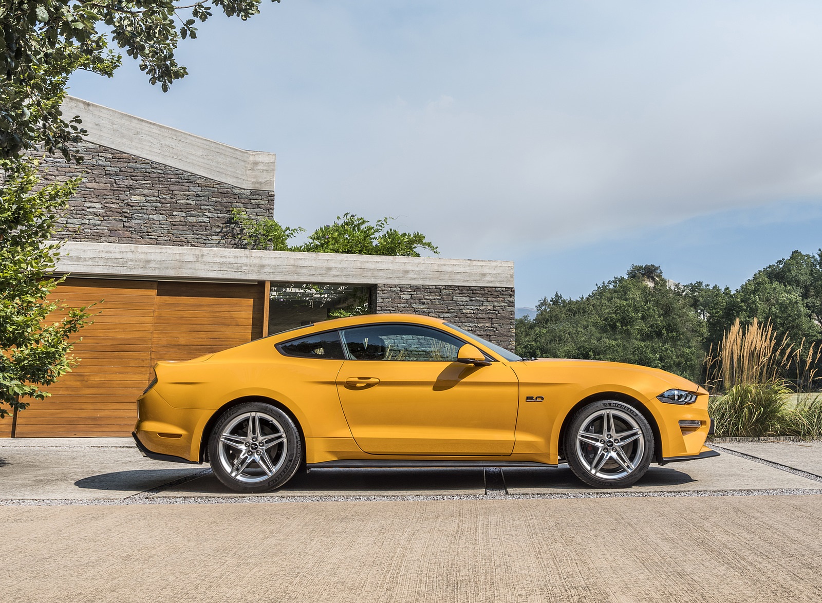 2018 Ford Mustang GT Coupe (Euro-Spec) Side Wallpapers #11 of 22
