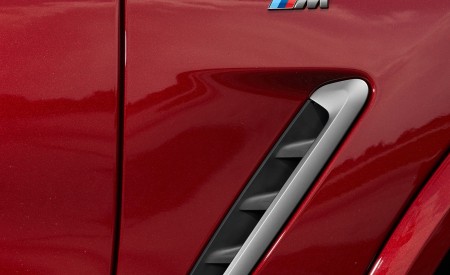 2019 BMW X4 M40d Detail Wallpapers  450x275 (83)