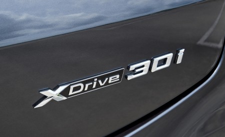 2019 BMW X4 xDrive30i Badge Wallpapers 450x275 (66)