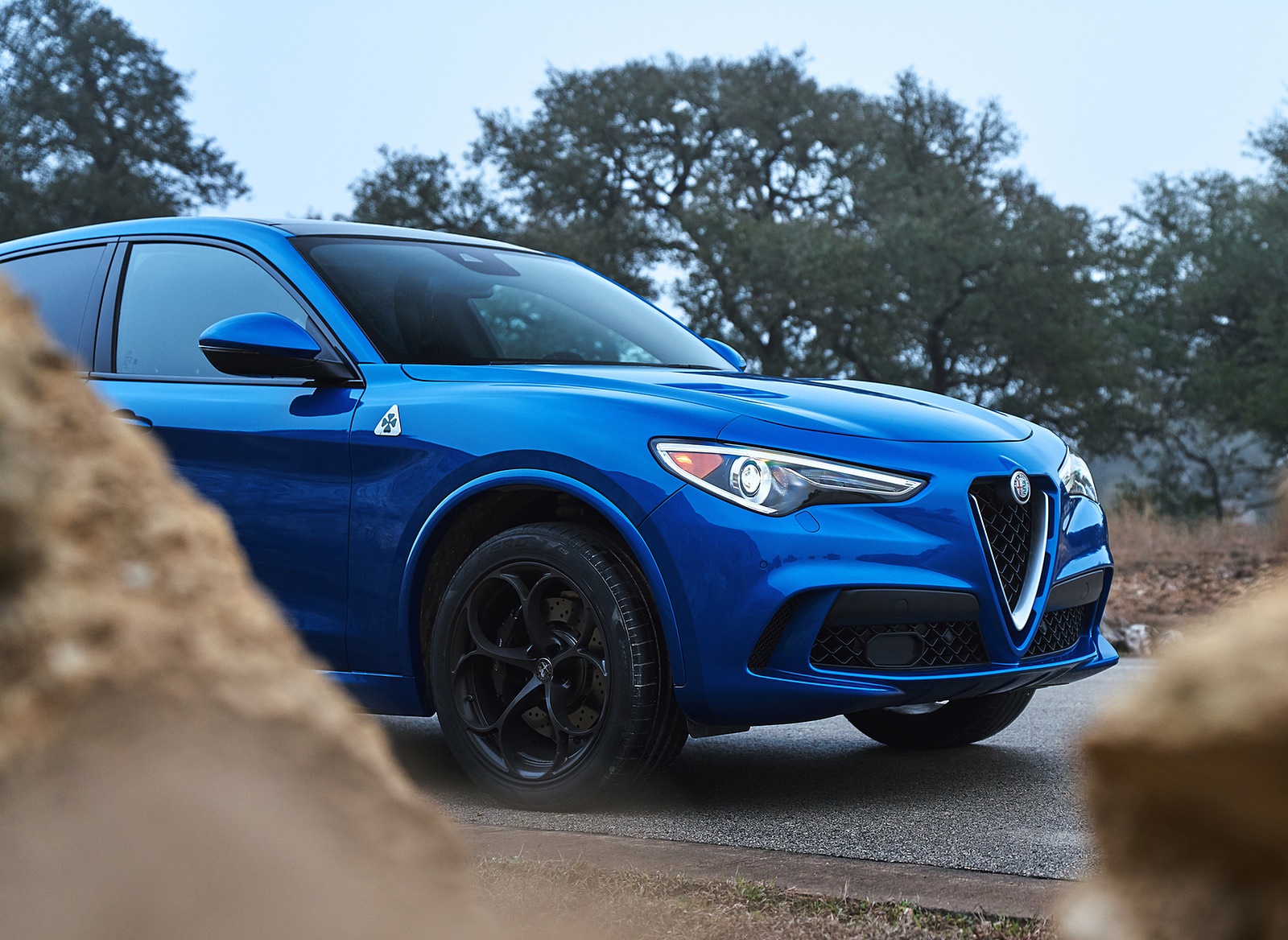 2018 Alfa Romeo Stelvio Quadrifoglio (Color: Misano Blue) Detail Wallpapers #37 of 87