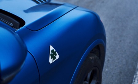 2018 Alfa Romeo Stelvio Quadrifoglio (Color: Misano Blue) Detail Wallpapers 450x275 (36)