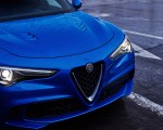 2018 Alfa Romeo Stelvio Quadrifoglio (Color: Misano Blue) Grill Wallpapers 150x120