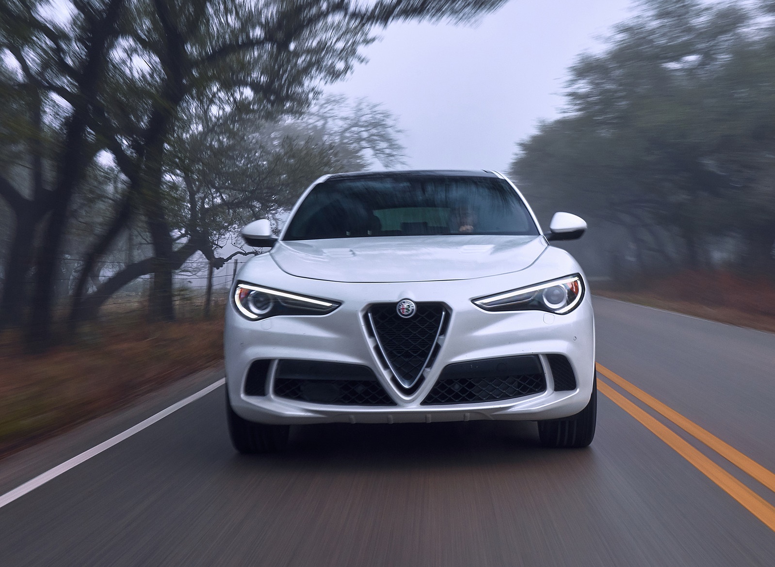 2018 Alfa Romeo Stelvio Quadrifoglio (Color: Trofeo White) Front Wallpapers #21 of 87