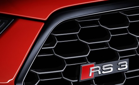 2018 Audi RS3 Sedan Grill Wallpapers 450x275 (27)