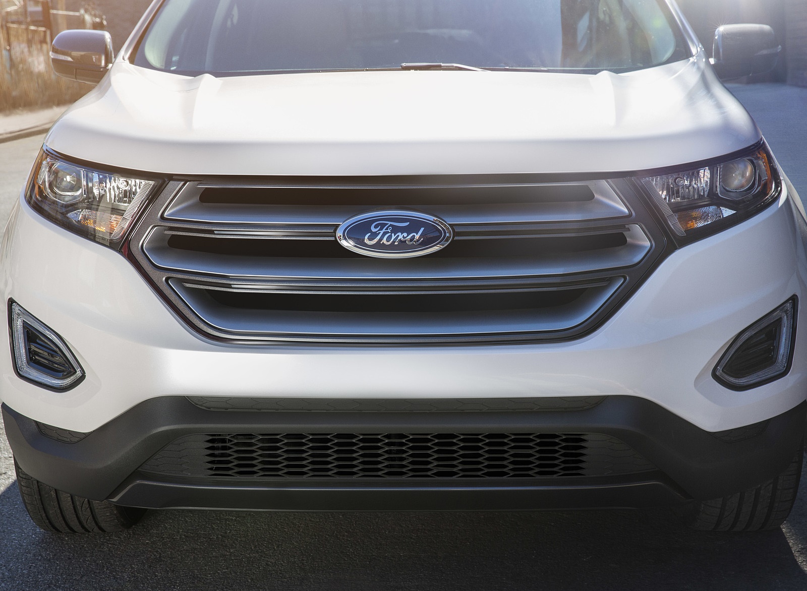 2018 Ford Edge SEL Sport Appearance Package Grill Wallpapers (7)