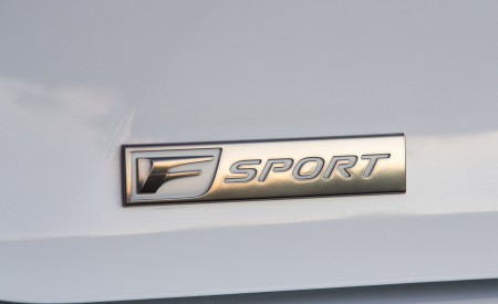 2018 Lexus RX 350 F SPORT Badge Wallpapers 450x275 (31)