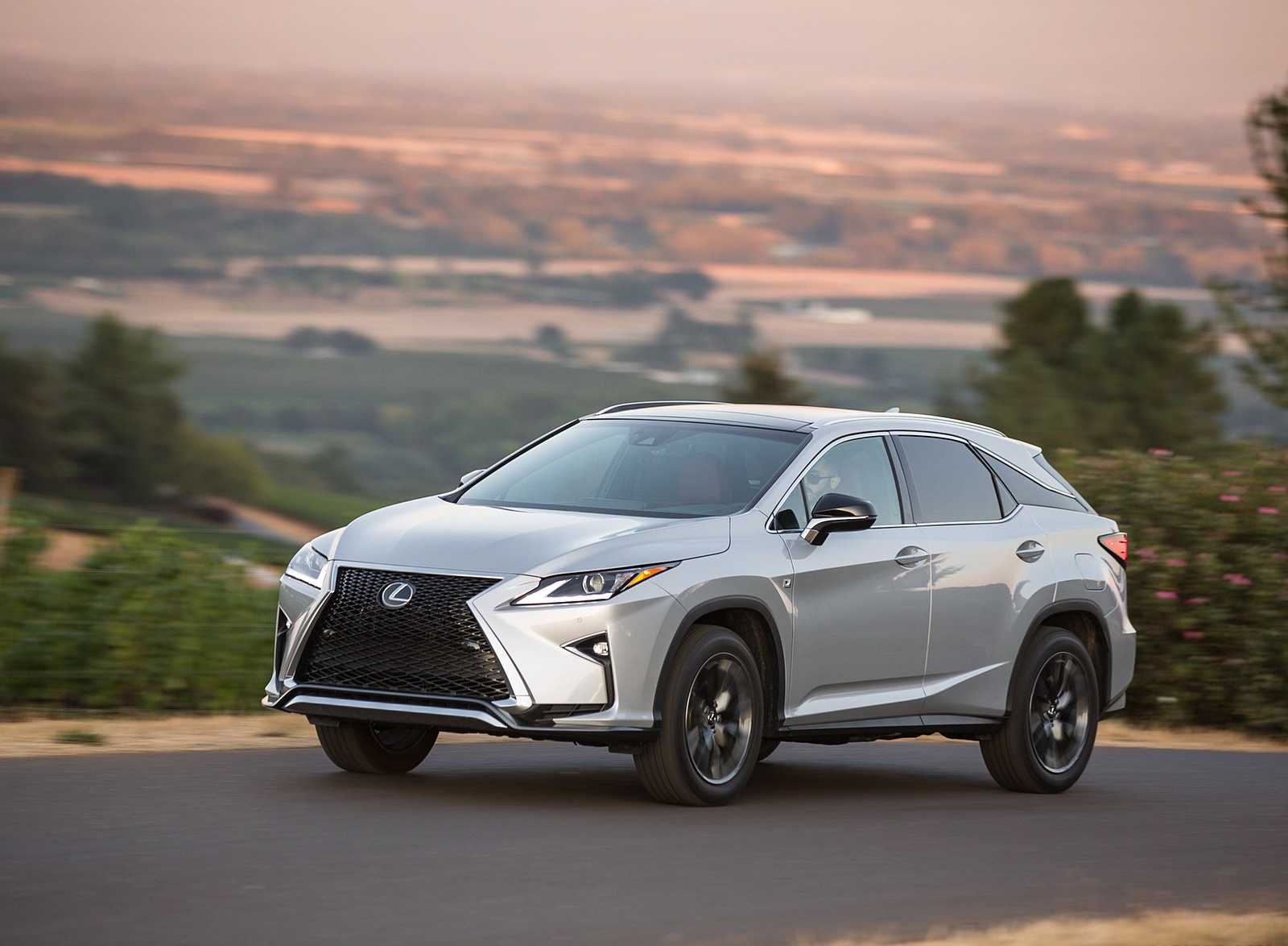 2018 Lexus RX 350 F SPORT Front Three-Quarter Wallpapers (1)