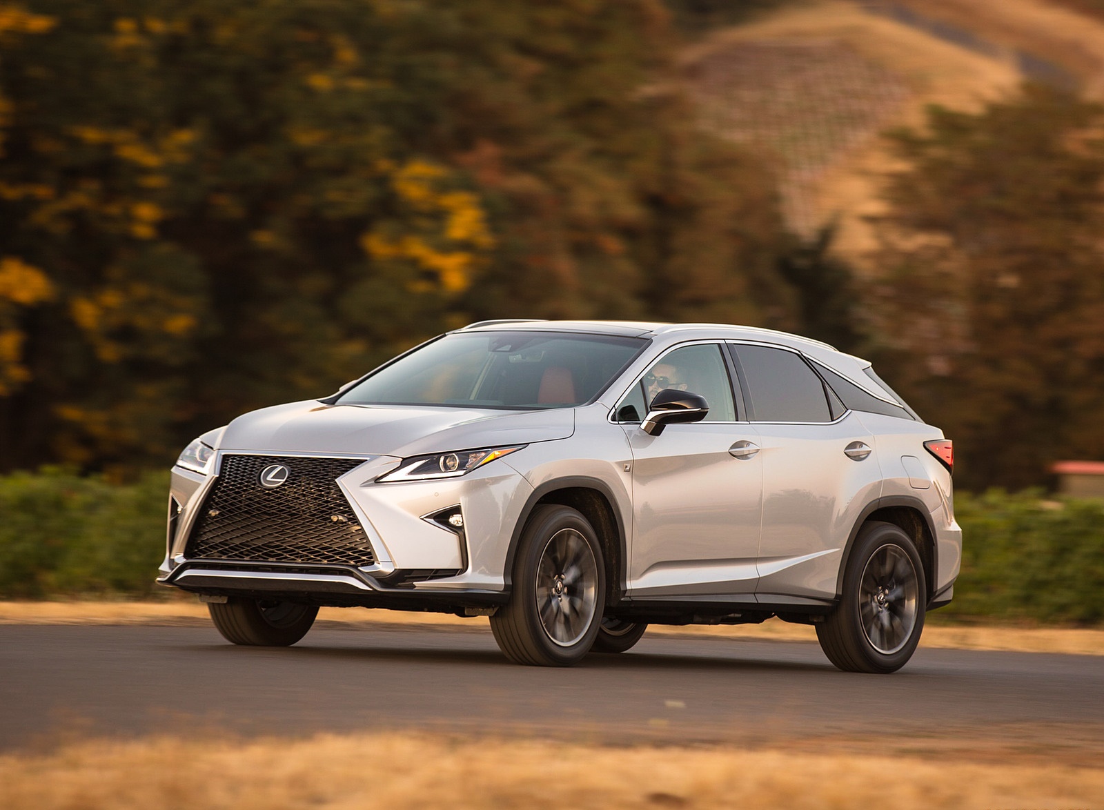 2018 Lexus RX 350 F SPORT Front Three-Quarter Wallpapers (2)