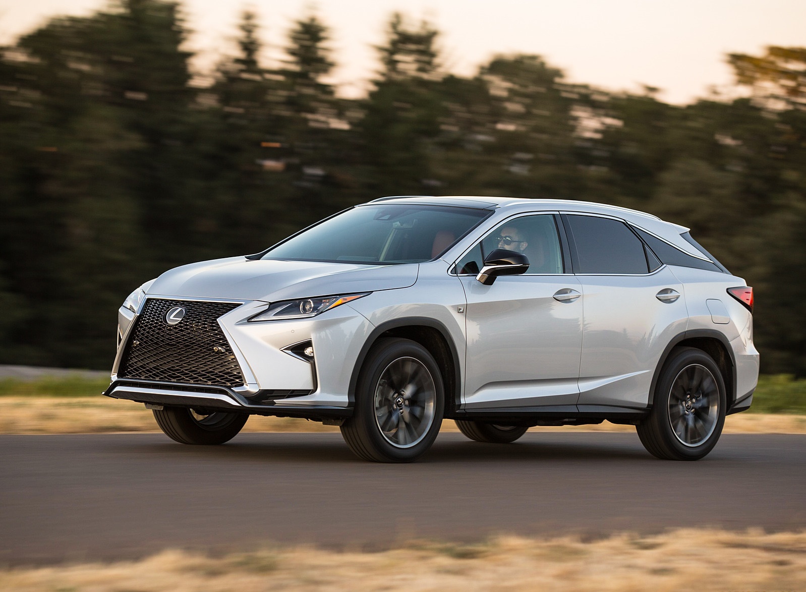 2018 Lexus RX 350 F SPORT Front Three-Quarter Wallpapers (3)