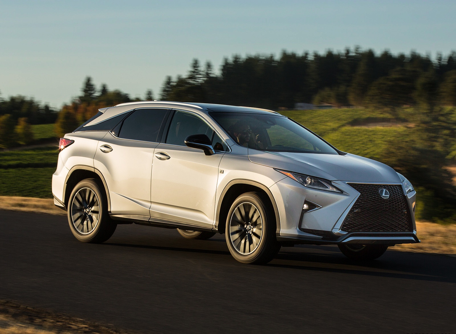 2018 Lexus RX 350 F SPORT Front Three-Quarter Wallpapers (4)