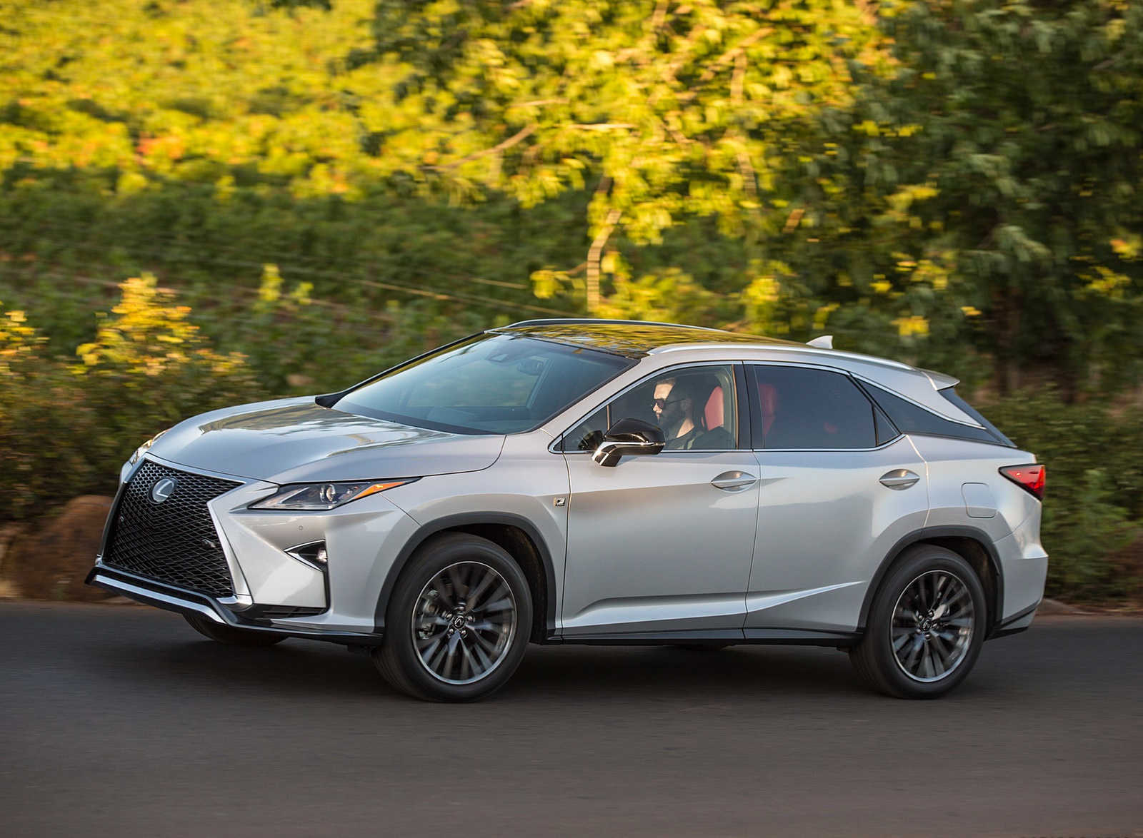 2018 Lexus RX 350 F SPORT Front Three-Quarter Wallpapers #6 of 64