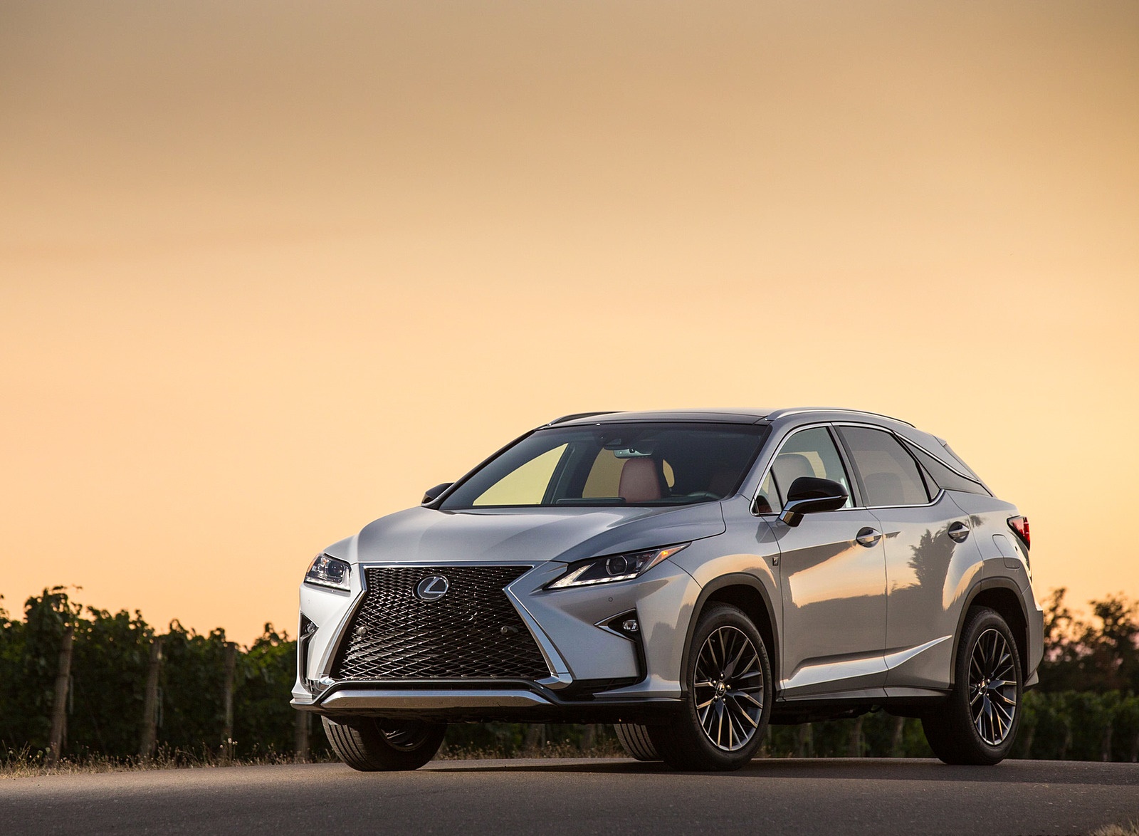 2018 Lexus RX 350 F SPORT Front Wallpapers #18 of 64