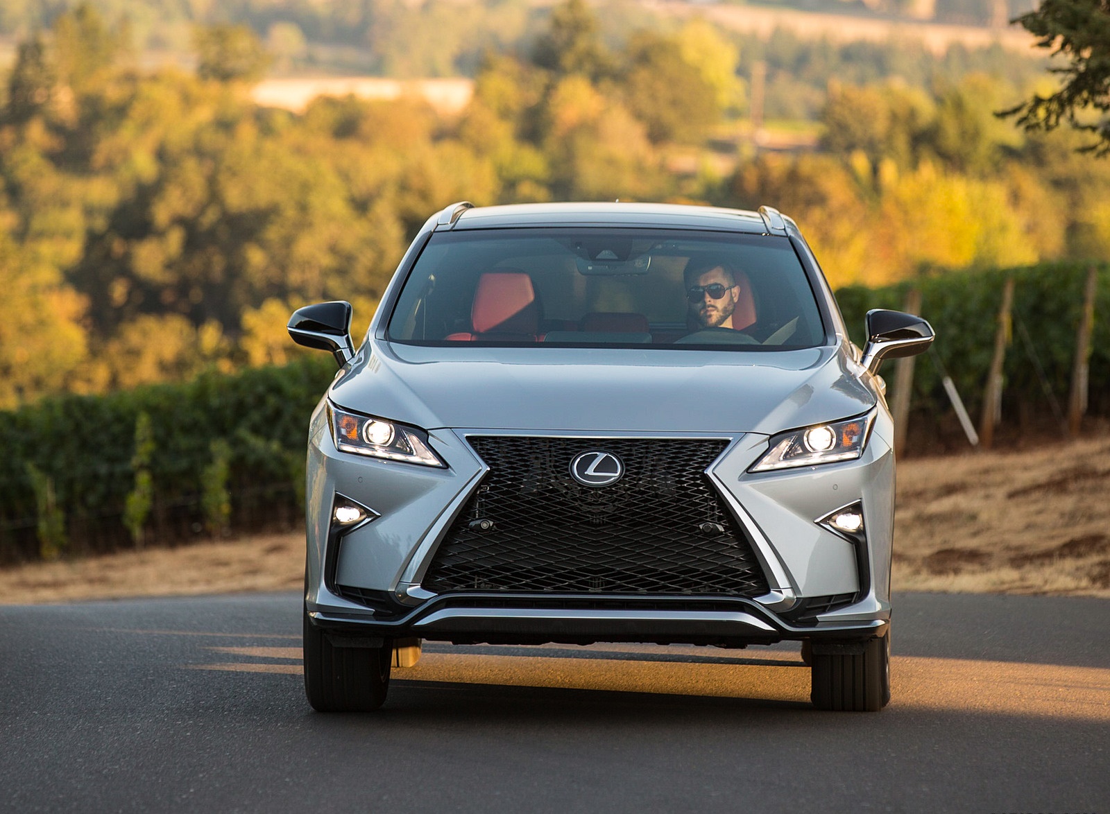 2018 Lexus RX 350 F SPORT Front Wallpapers #7 of 64