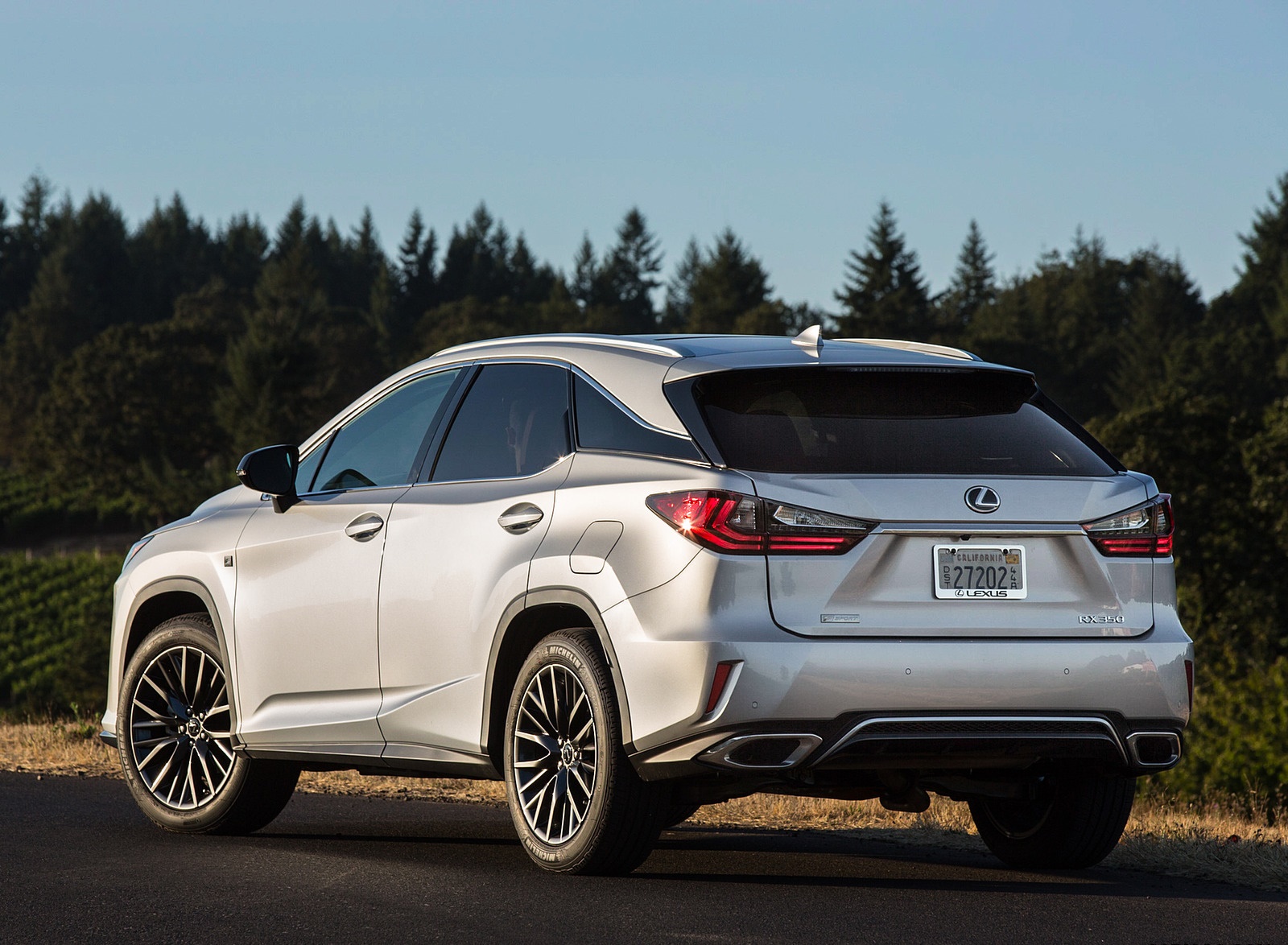 2018 Lexus RX 350 F SPORT Rear Three-Quarter Wallpapers #15 of 64