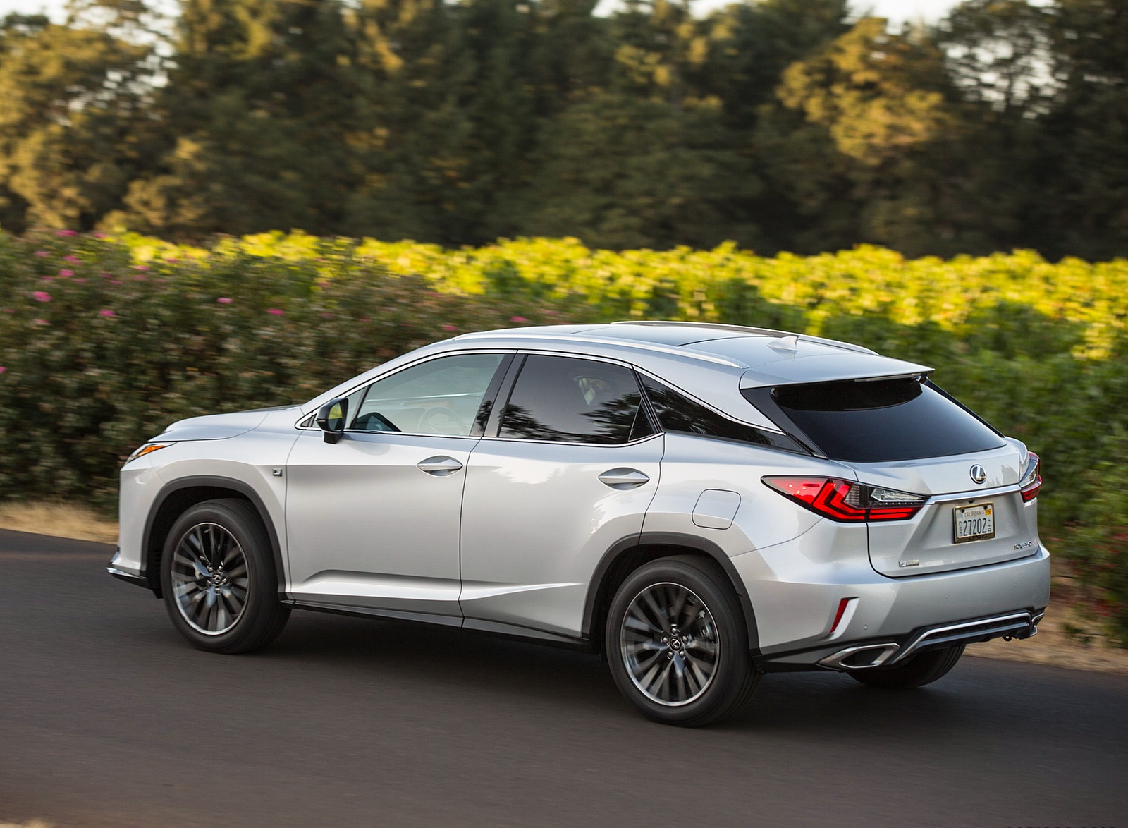 2018 Lexus RX 350 F SPORT Rear Three-Quarter Wallpapers (8)