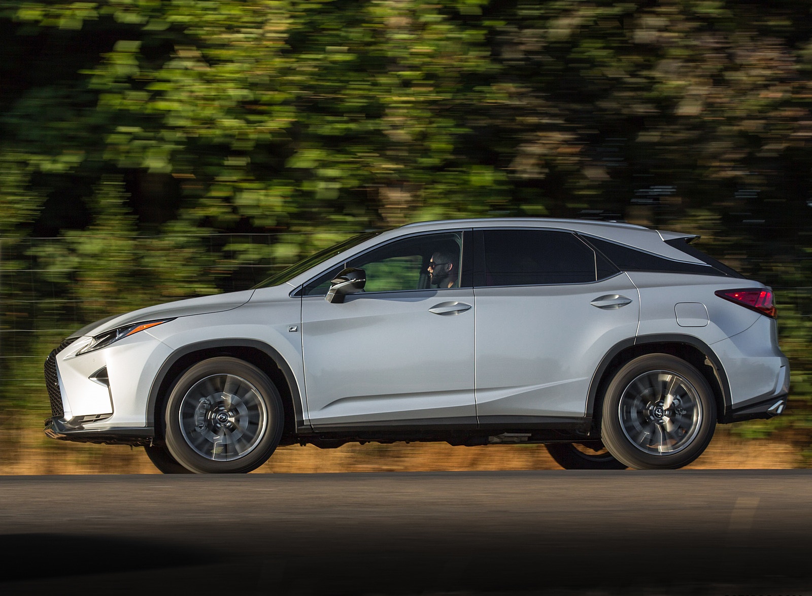 2018 Lexus RX 350 F SPORT Side Wallpapers (9)