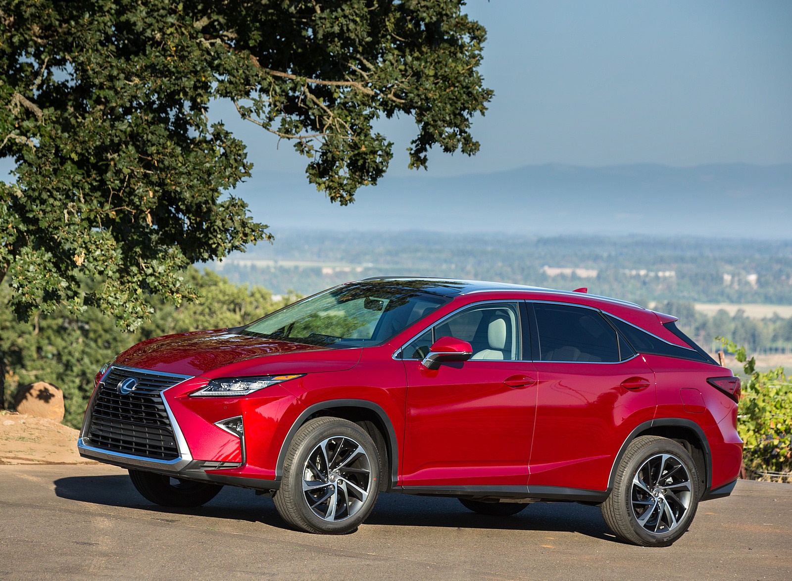 2018 Lexus RX 350 Front Three-Quarter Wallpapers #53 of 64