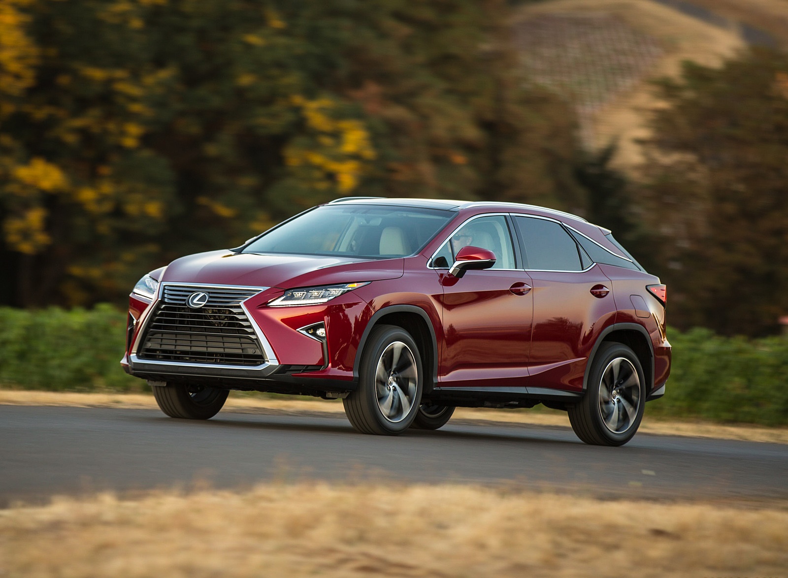 2018 Lexus RX 350 Front Three-Quarter Wallpapers #43 of 64
