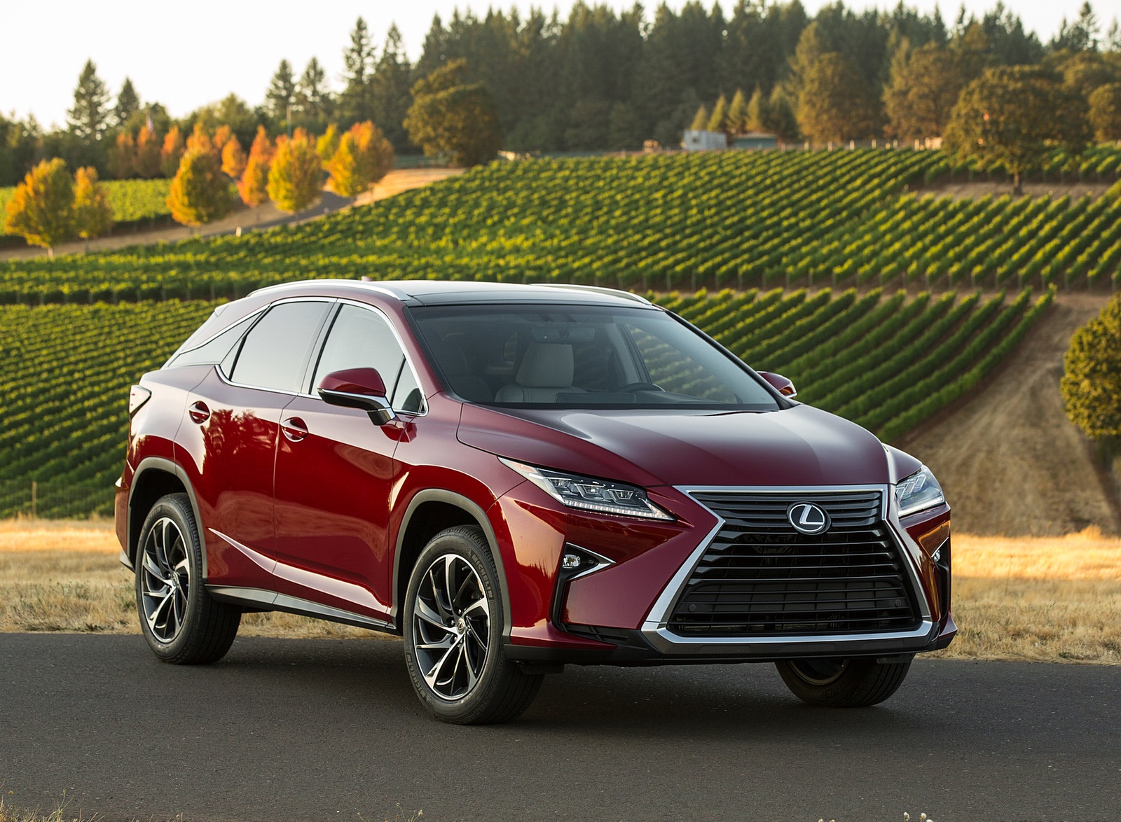 2018 Lexus RX 350 Front Three-Quarter Wallpapers #52 of 64