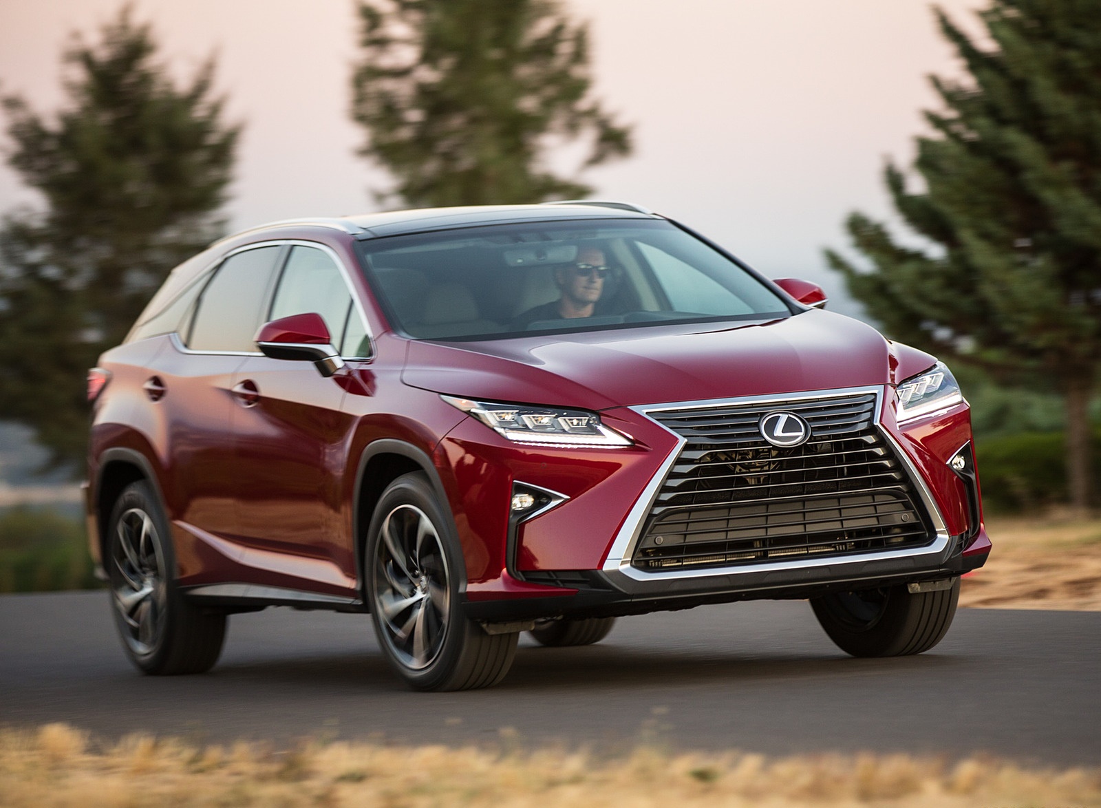 2018 Lexus RX 350 Front Three-Quarter Wallpapers #45 of 64
