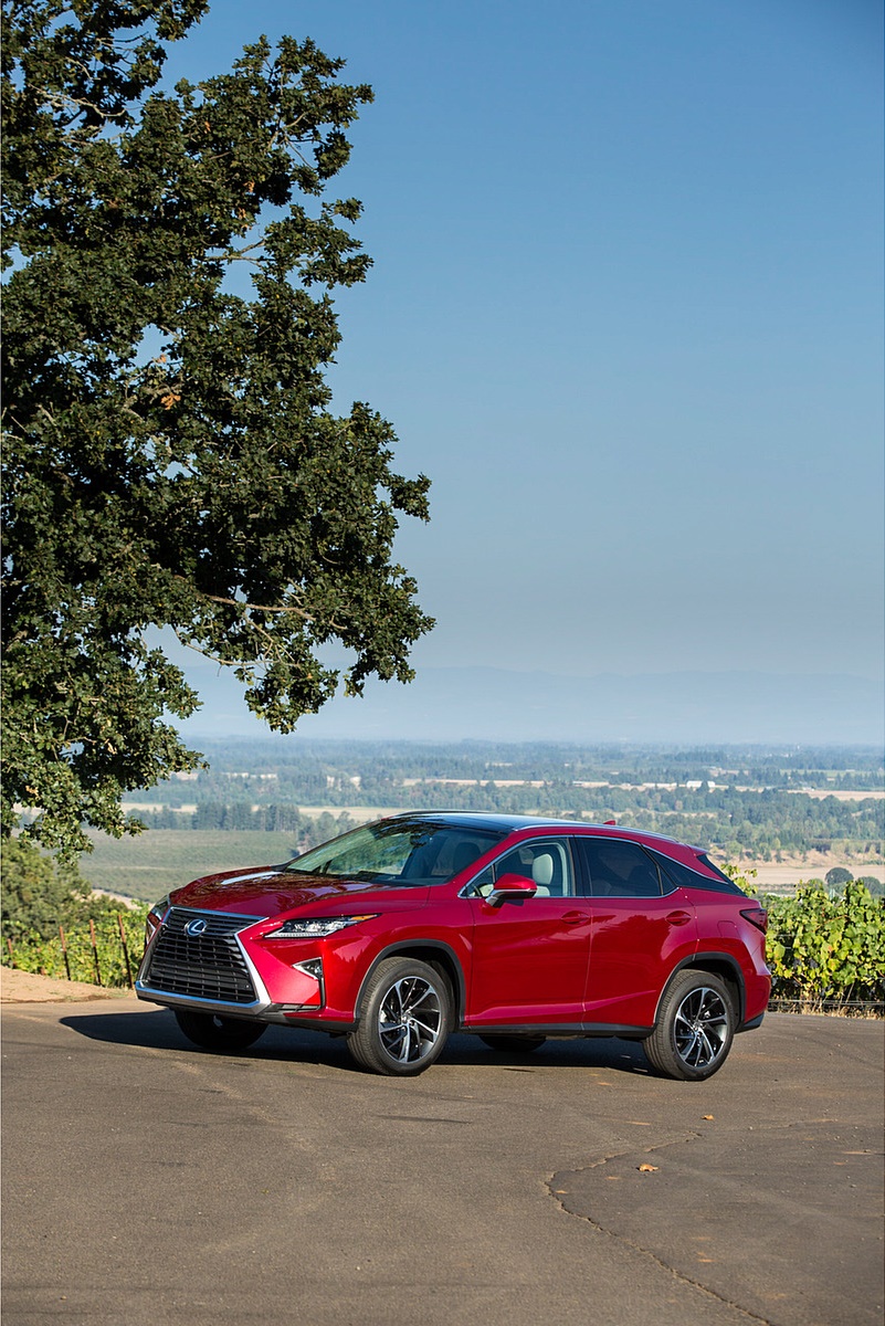 2018 Lexus RX 350 Front Three-Quarter Wallpapers #51 of 64