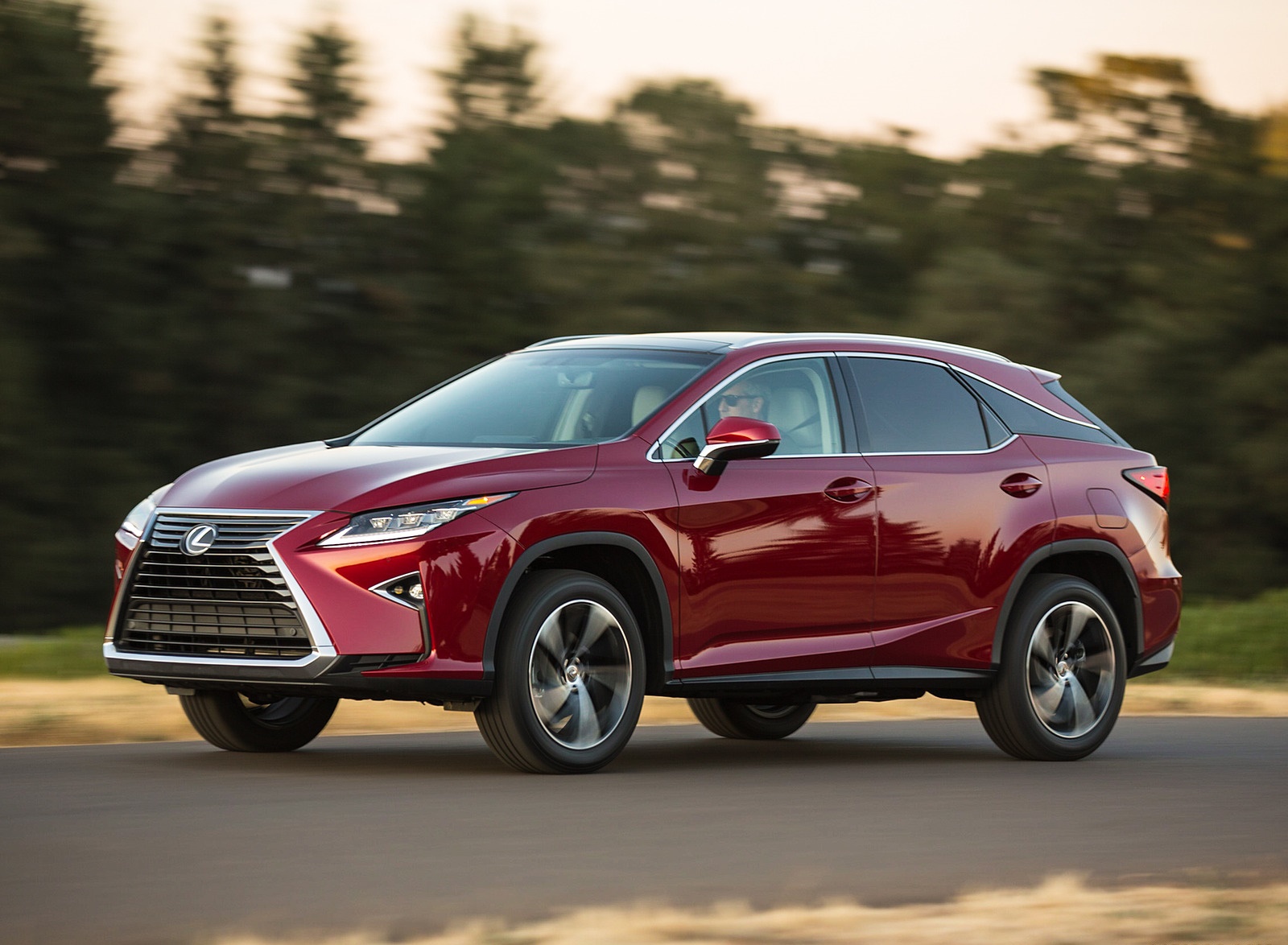 2018 Lexus RX 350 Front Three-Quarter Wallpapers #46 of 64