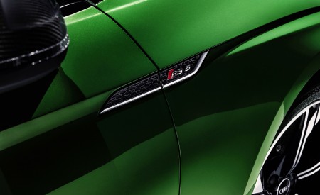 2019 Audi RS5 Sportback (Color: Sonoma Green Metallic) Detail Wallpapers 450x275 (66)