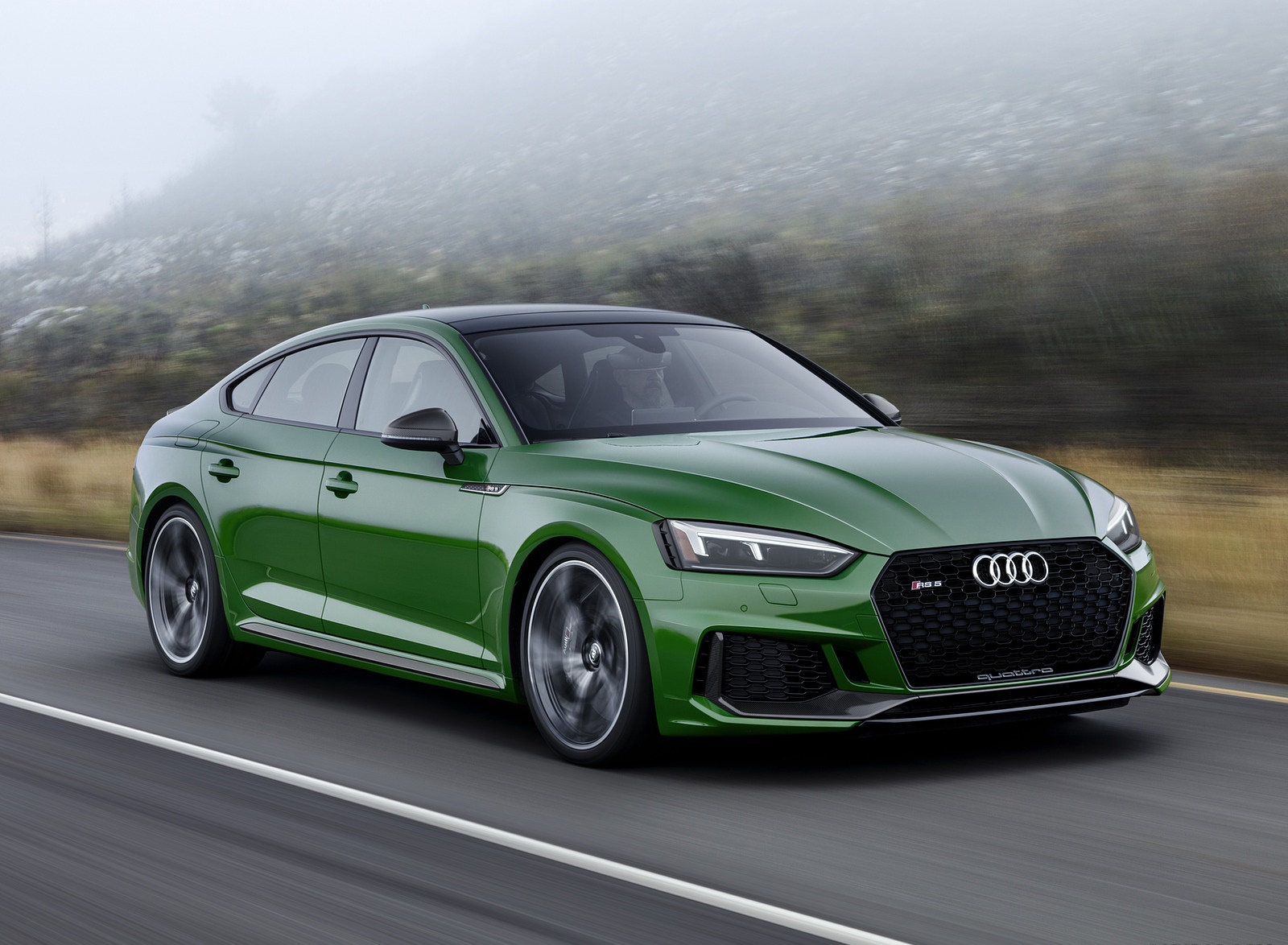 2019 Audi RS5 Sportback (Color: Sonoma Green Metallic) Front Three-Quarter Wallpapers #73 of 84