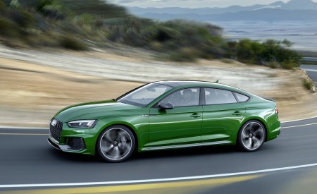 2019 Audi RS5 Sportback (Color: Sonoma Green Metallic) Side Wallpapers 450x275 (33)