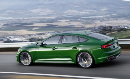 2019 Audi RS5 Sportback (Color: Sonoma Green Metallic) Side Wallpapers 450x275 (77)