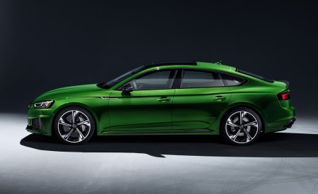 2019 Audi RS5 Sportback (Color: Sonoma Green Metallic) Side Wallpapers 450x275 (62)