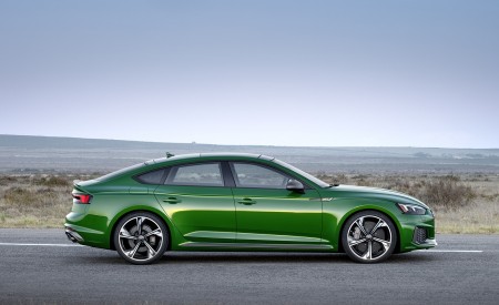 2019 Audi RS5 Sportback (Color: Sonoma Green Metallic) Side Wallpapers 450x275 (34)