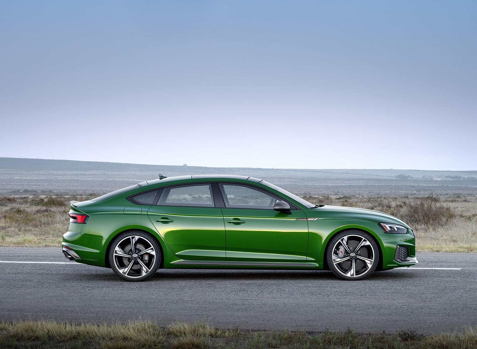 2019 Audi RS5 Sportback (Color: Sonoma Green Metallic) Side Wallpapers #34 of 84