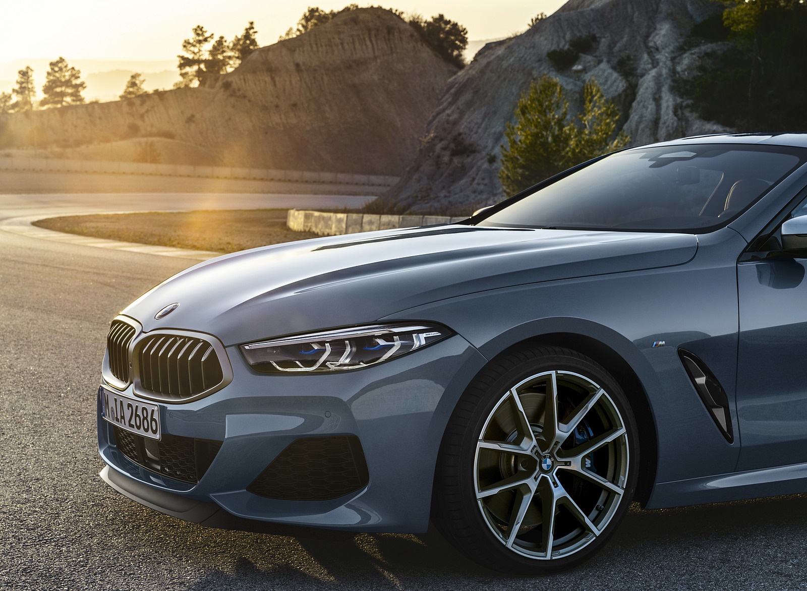 2019 BMW 8-Series M850i Detail Wallpapers #18 of 116
