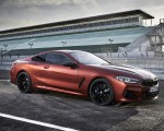 2019 BMW 8-Series M850i Front Three-Quarter Wallpapers 150x120 (57)