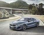 2019 BMW 8-Series M850i Front Three-Quarter Wallpapers 150x120 (17)