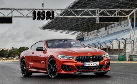 2019 BMW 8-Series M850i Front Three-Quarter Wallpapers 450x275 (68)