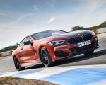 2019 BMW 8-Series M850i Front Three-Quarter Wallpapers 150x120 (41)