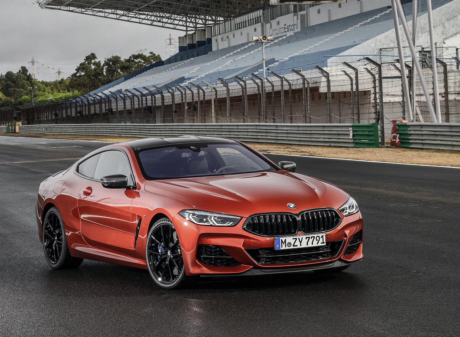 2019 BMW 8-Series M850i Front Three-Quarter Wallpapers #67 of 116