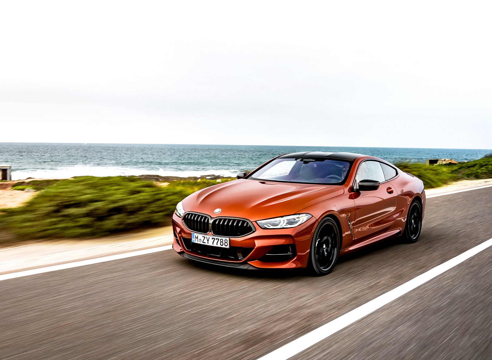 2019 BMW 8-Series M850i Front Three-Quarter Wallpapers #30 of 116