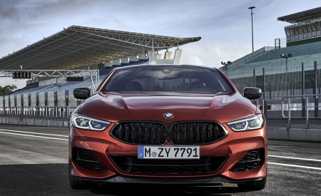 2019 BMW 8-Series M850i Front Wallpapers 450x275 (54)
