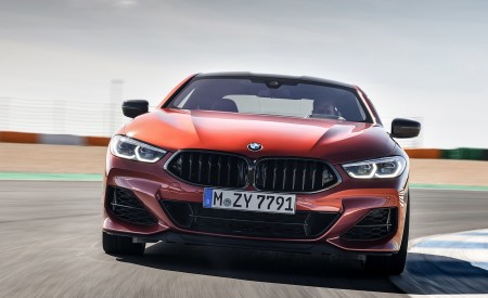 2019 BMW 8-Series M850i Front Wallpapers 450x275 (38)