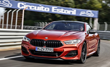 2019 BMW 8-Series M850i Front Wallpapers 450x275 (53)