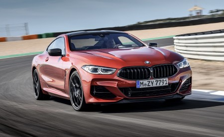 2019 BMW 8-Series M850i Front Wallpapers 450x275 (37)