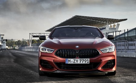 2019 BMW 8-Series M850i Front Wallpapers 450x275 (52)