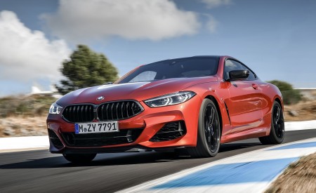 2019 BMW 8-Series M850i Front Wallpapers 450x275 (47)