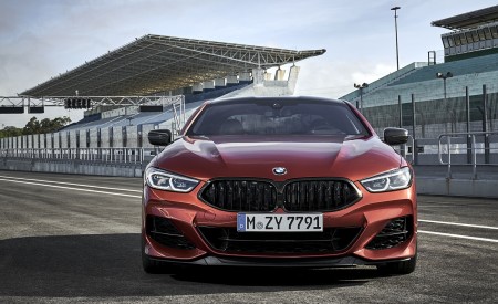 2019 BMW 8-Series M850i Front Wallpapers 450x275 (51)